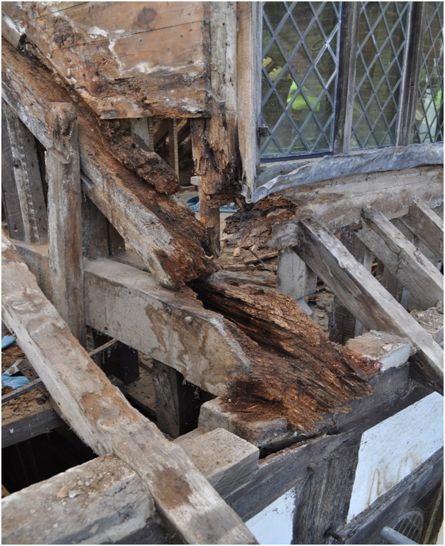 A severely rotten oak tie beam end corner to the dorma, caused by water ingress. Here both wet rot and beetle infestation is evident. Also note that the wall plate has snapped due to lateral forces imposed from the roof load.
