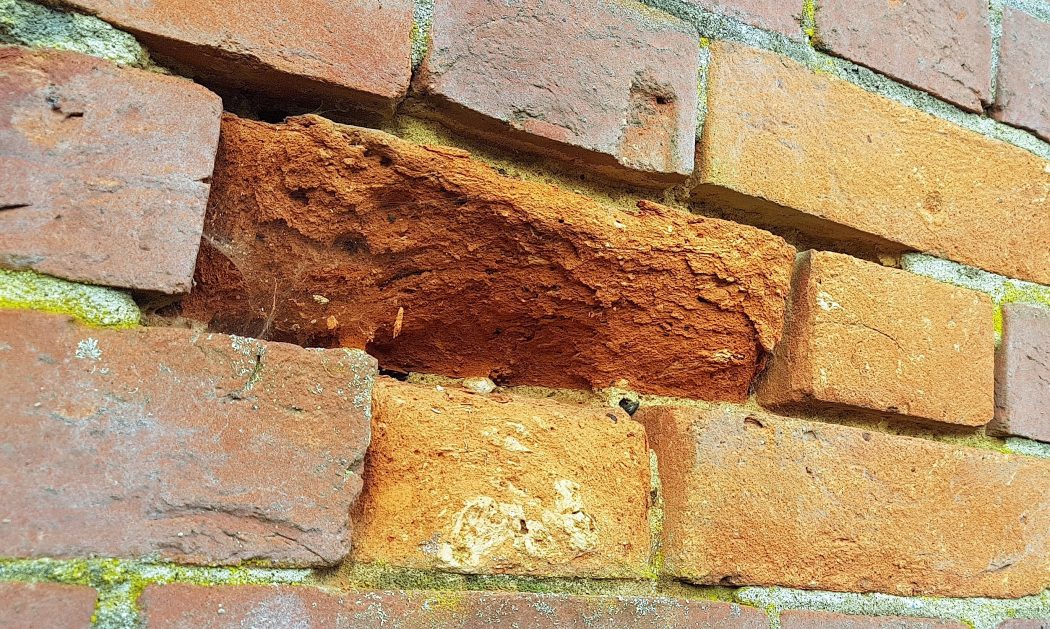 repair of frost damaged bricks